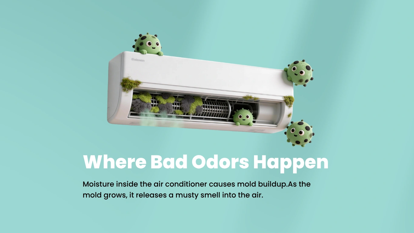 NoStink Stop Air Cond Bad Odour