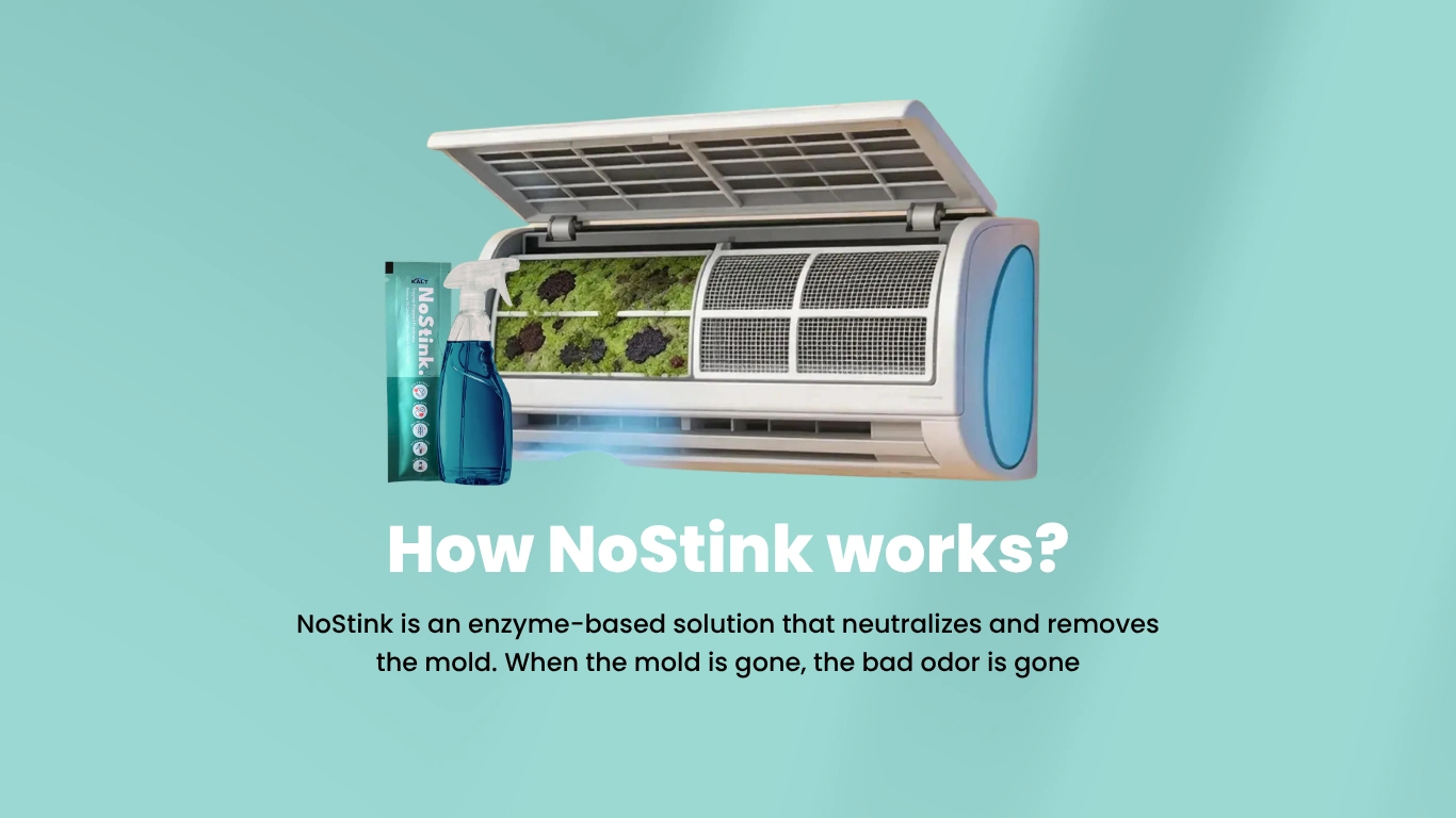 NoStink Stop Air Cond Bad Odour