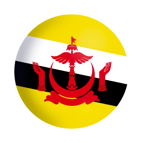 Brunei Logo